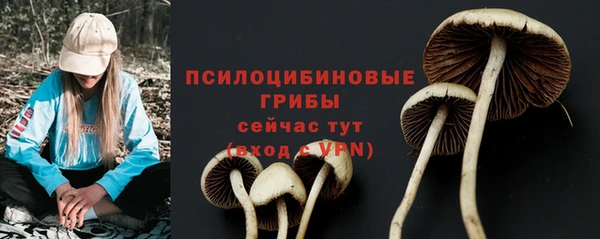 мяу мяу кристалл Богданович